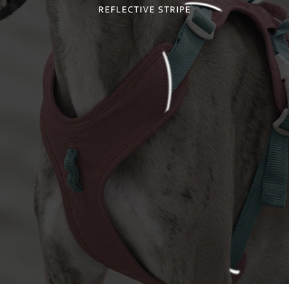 Pop Art Harness & Leash Set