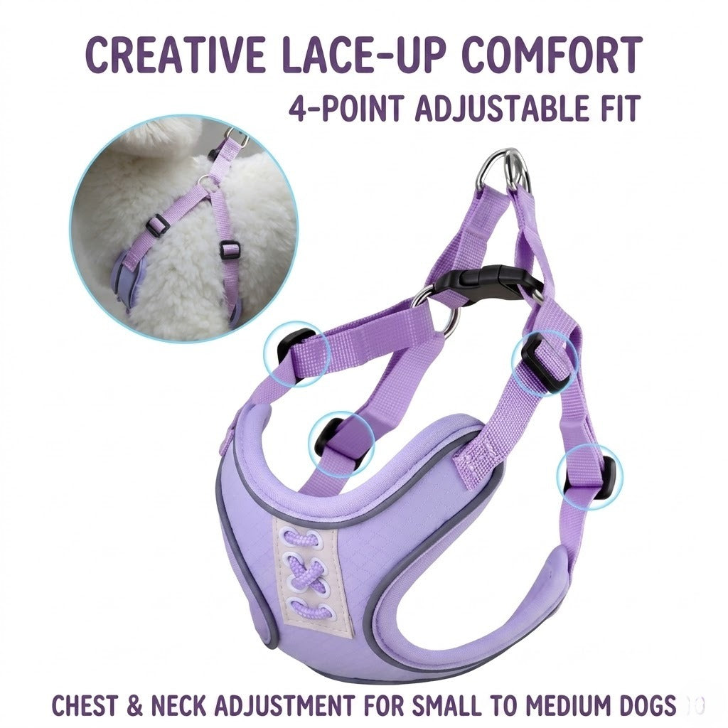 Reflective Mesh Harness & Leash Set
