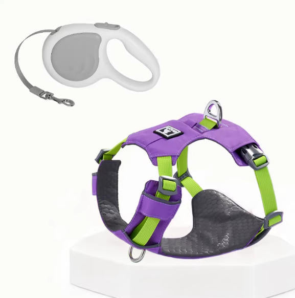 Lightweight Breathable Harness & Leash Set
