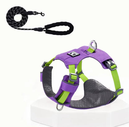 Lightweight Breathable Harness & Leash Set