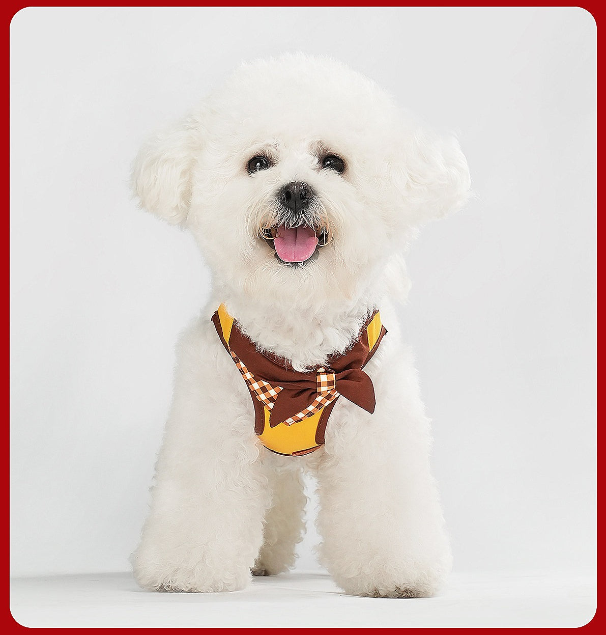 Plaid Bow Harness & Leash Set