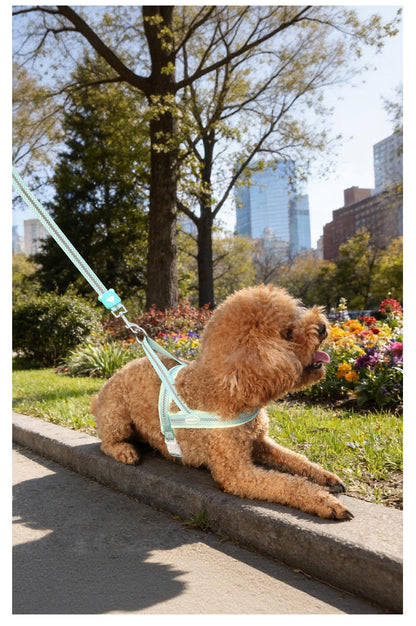 Reflective Mesh Harness & Leash Set