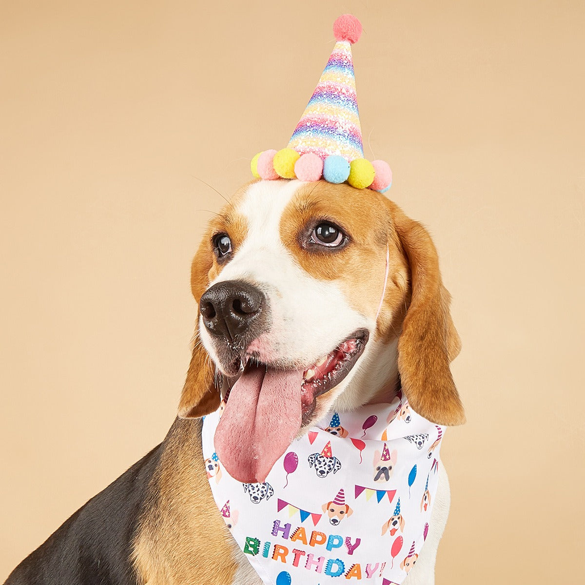 Birthday Bandana & Hat Set