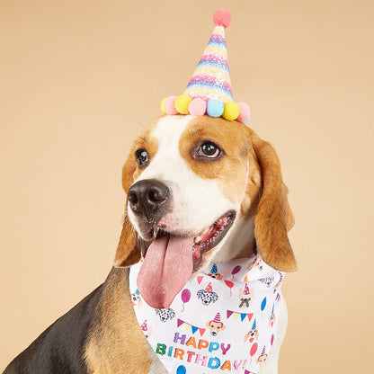 Birthday Bandana & Hat Set