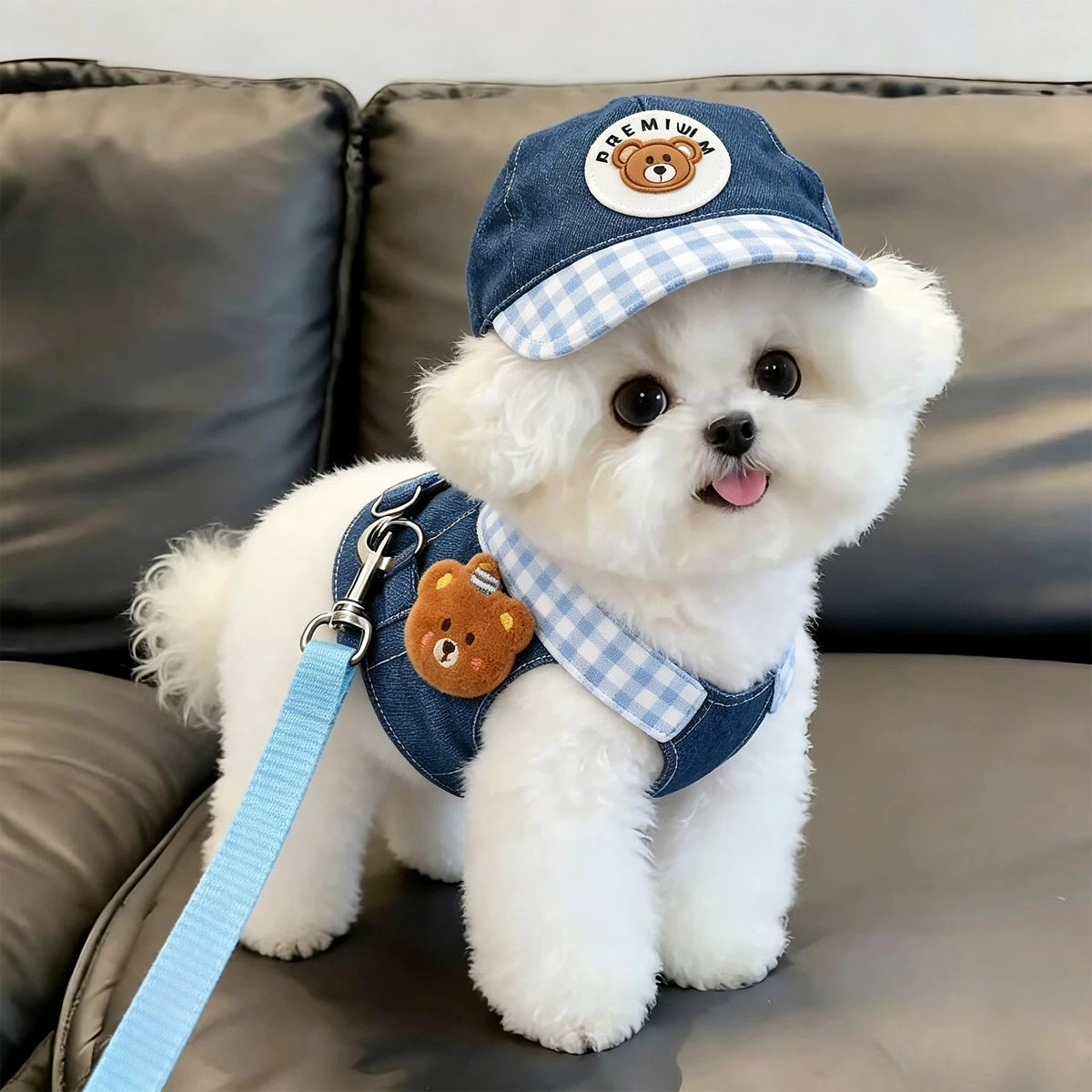 Plaid Denim Dog Hat