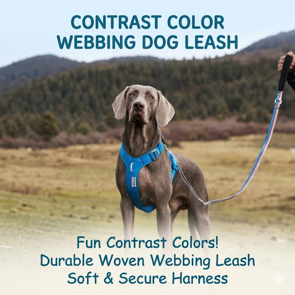 Reflective Adjustable Dog Leash