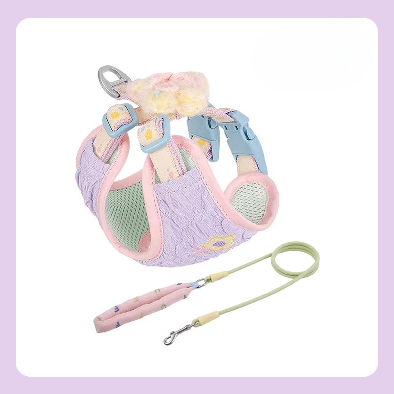Floral Harness & Leash Set