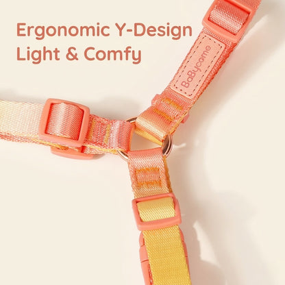 Gradient Harness & Leash Set