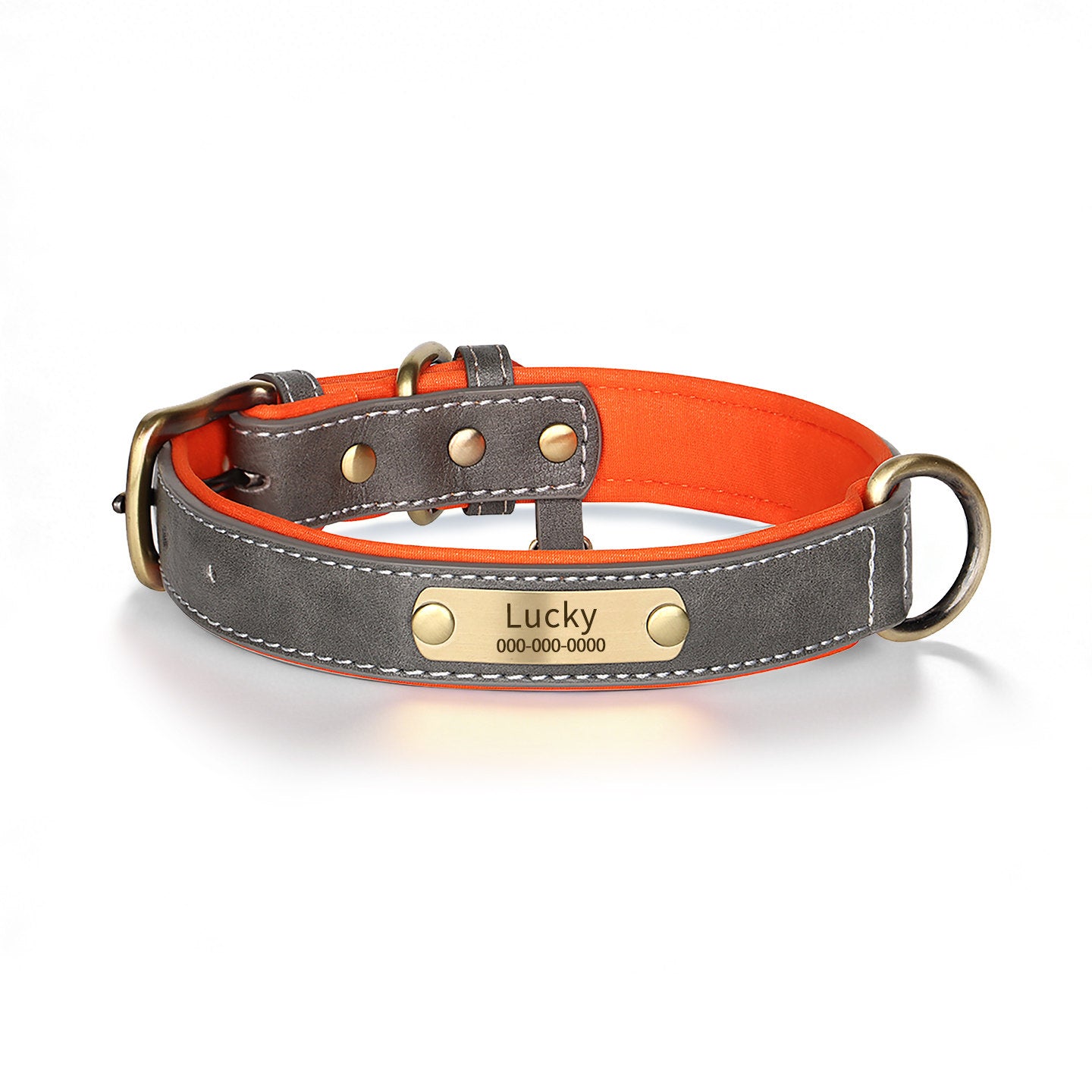 Personalized Dog Collar & Leash Set