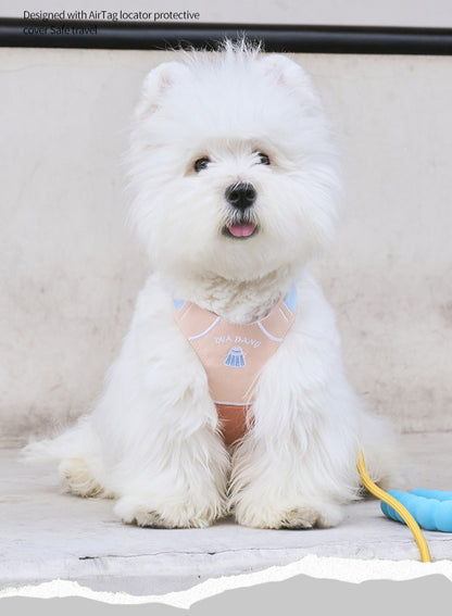 Sports Print Harness & Leash Set