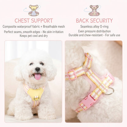 Breathable Y-Shape Harness & Leash Set
