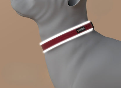 Reflective Nylon Dog Collar