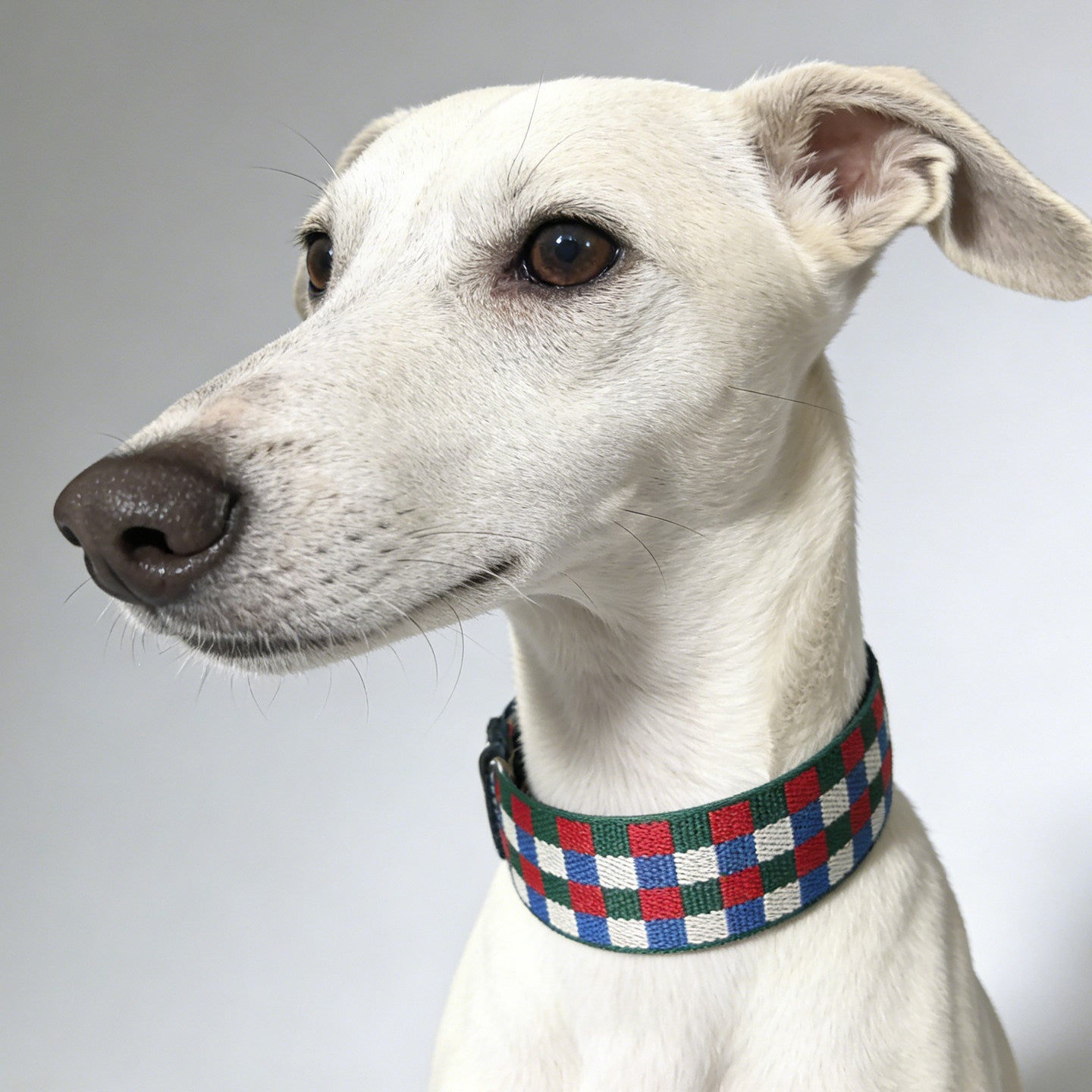 Plaid Leather Wide Dog Collar