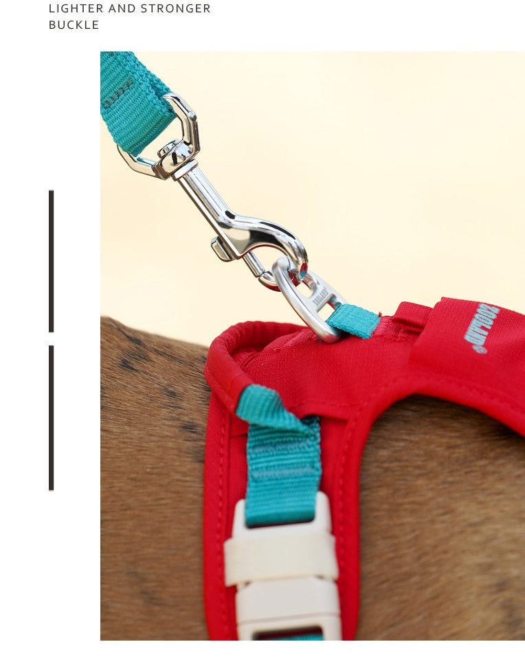 Pop Art Harness & Leash Set