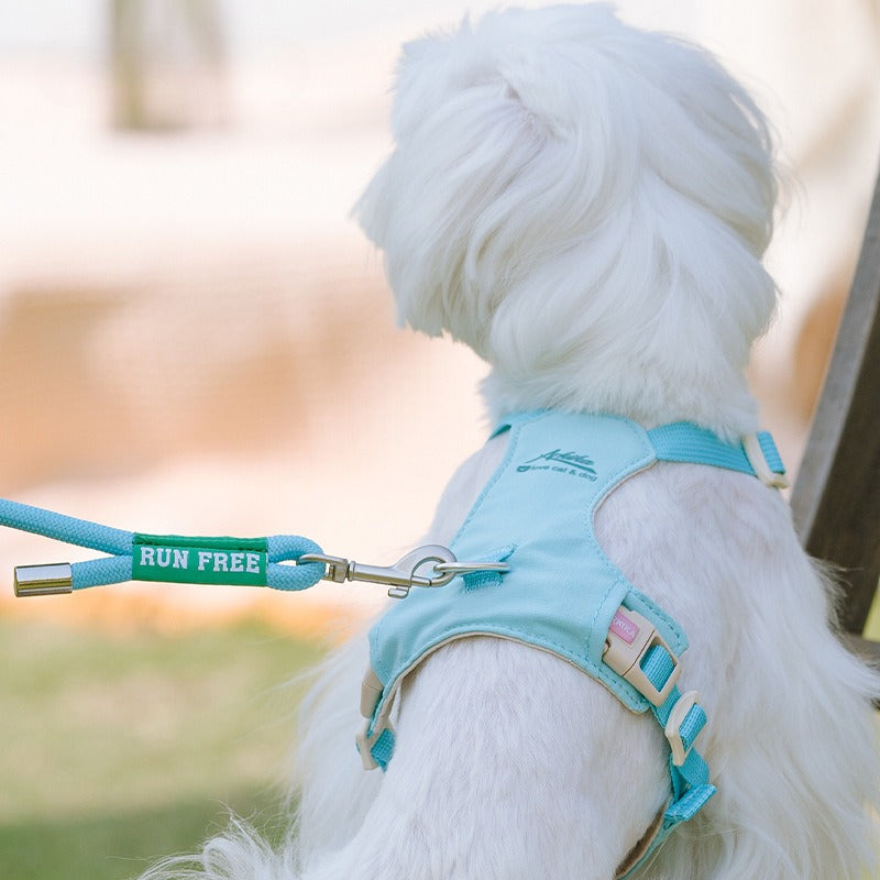 Lightweight Harness & Leash Set