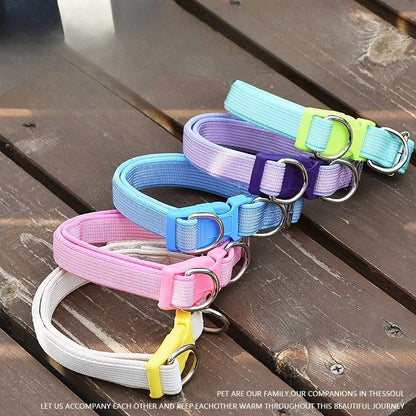 Padded Solid Dog Collar for Dogs – Pink