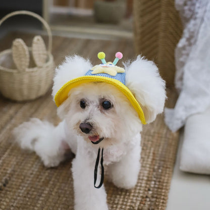 Cartoon Star Mesh Dog Hat