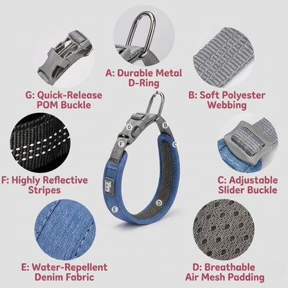 Reflective Padded Collar & Leash Set
