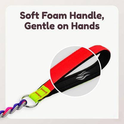 Colorful Braided P-Chain Dog Leash