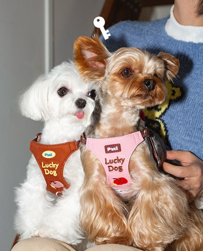 Cartoon Embroidered Dog Harness