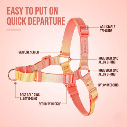 Gradient Harness & Leash Set