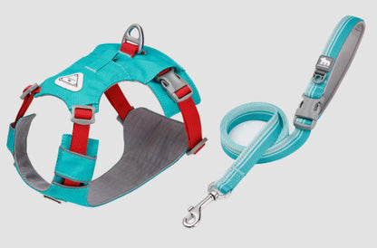 Lightweight Breathable Harness & Leash Set