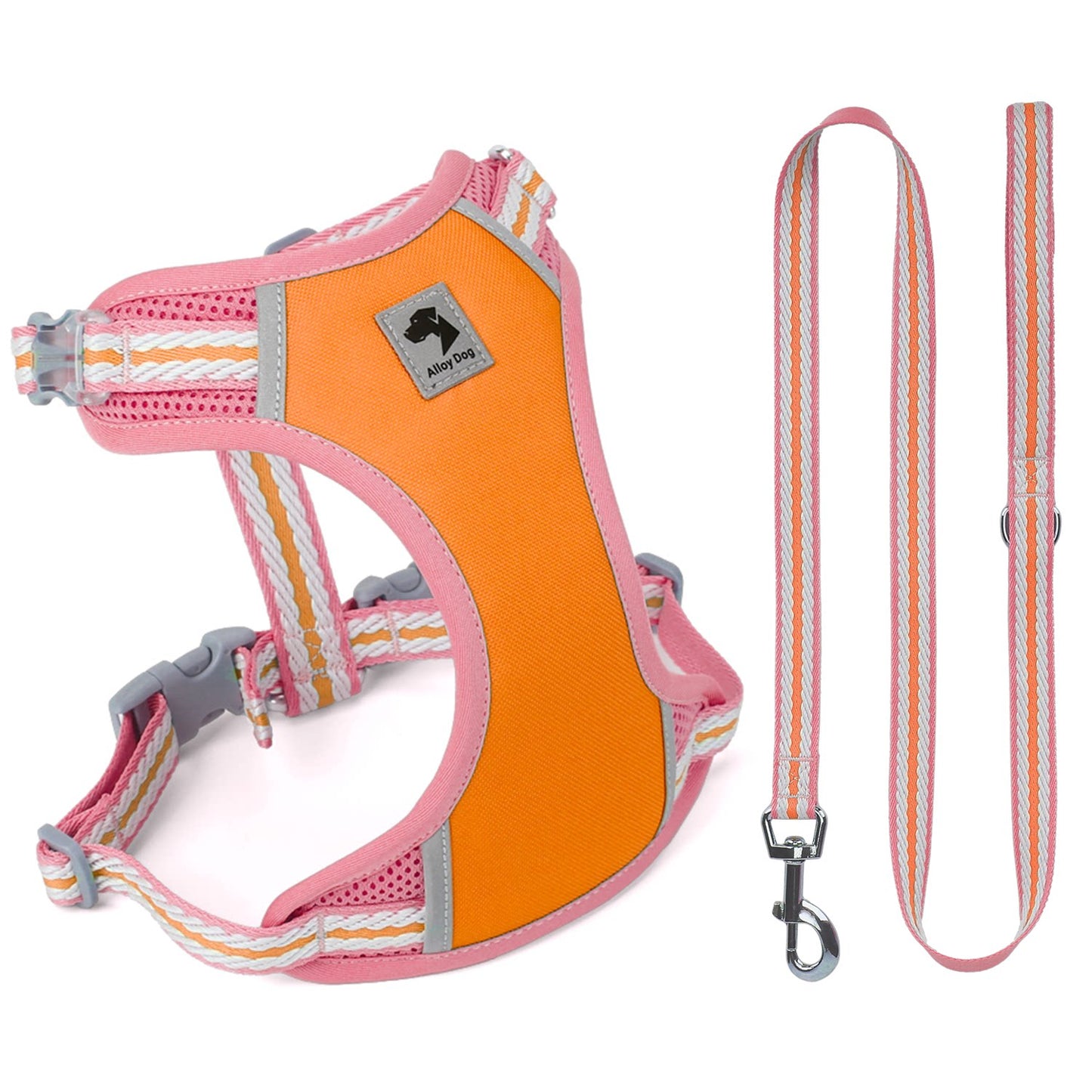 Reflective Mesh Harness & Leash Set