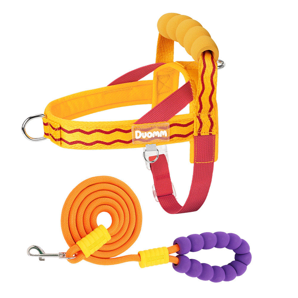 Foam Handle Harness & Leash Set