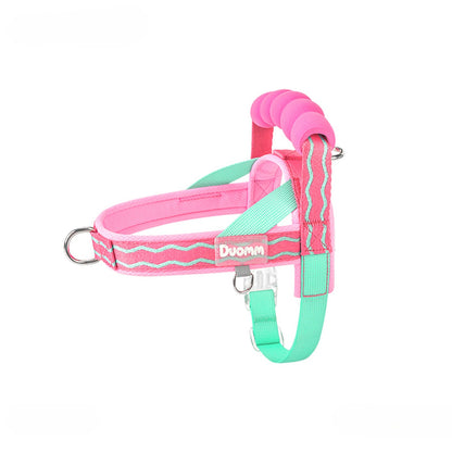 Foam Handle Harness & Leash Set