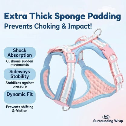 Lightweight No-Pull Harness & Leash Set