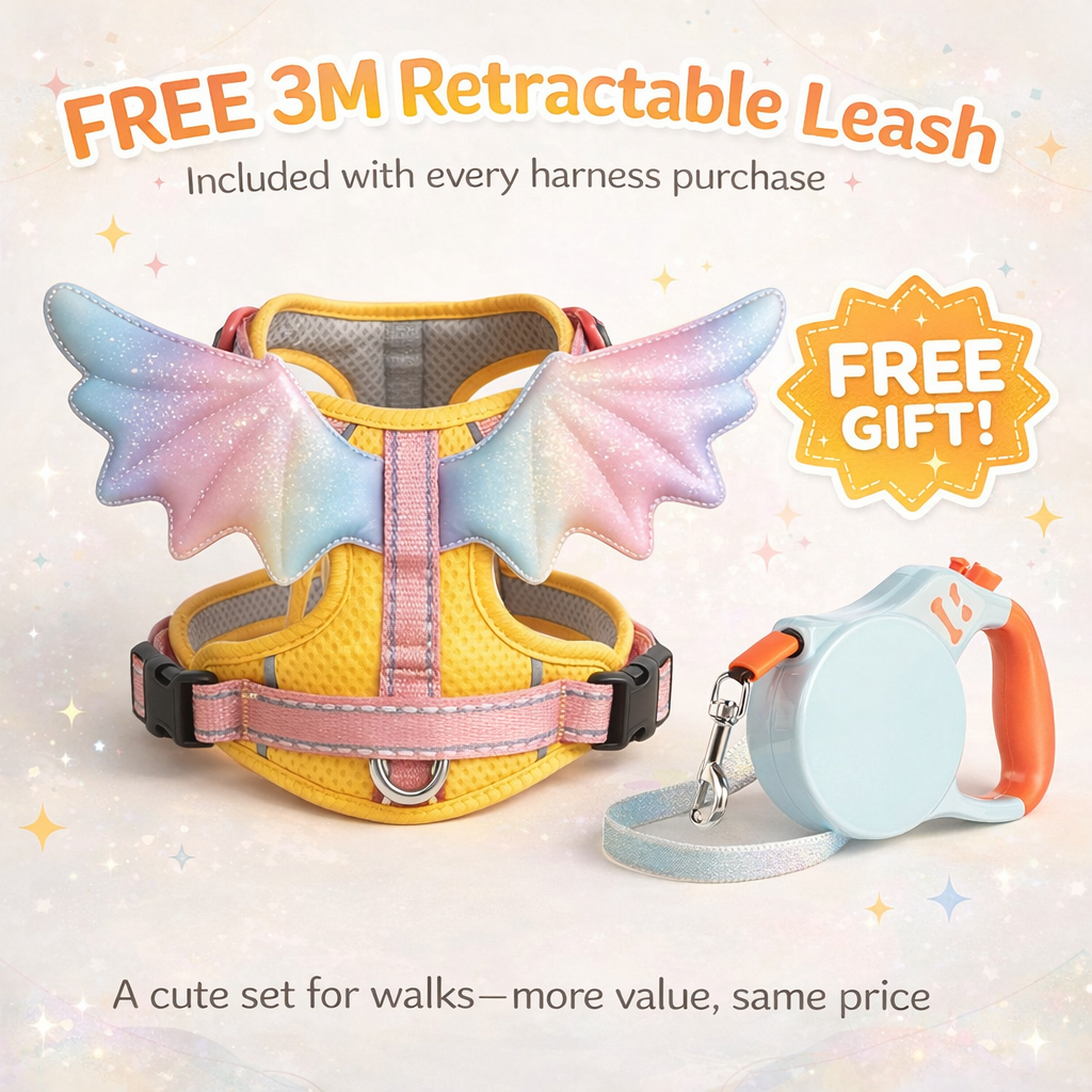 buy a harness