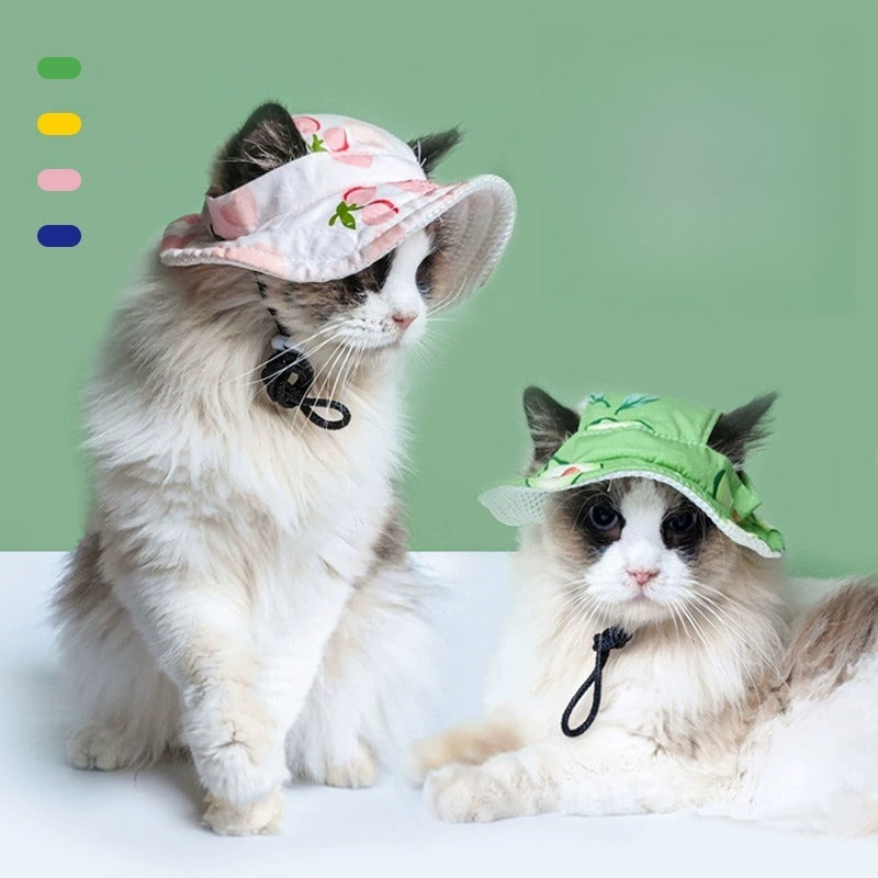 Fruit Pattern Dog Hat