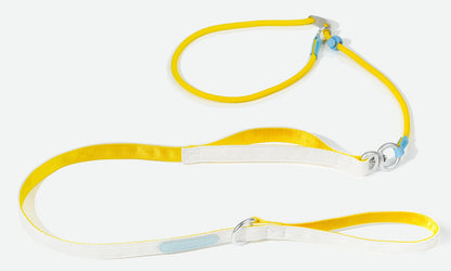 Dual Handle Training Dog Leash