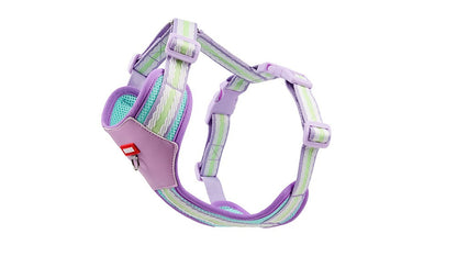 Breathable Mesh Harness & Leash Set