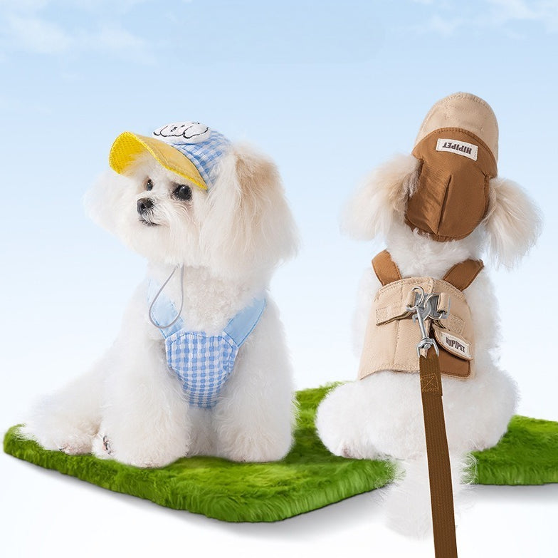 Gingham Harness, Leash & Hat Set