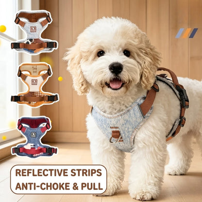 Reflective Patchwork Harness & Leash Set