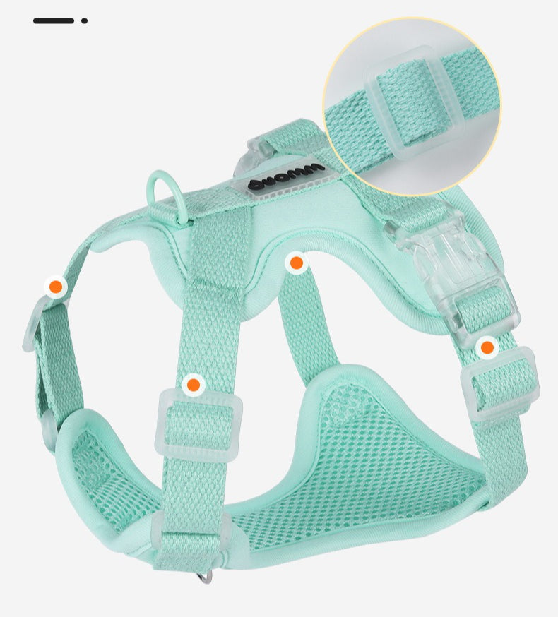 Breathable Mesh Harness & Leash Set