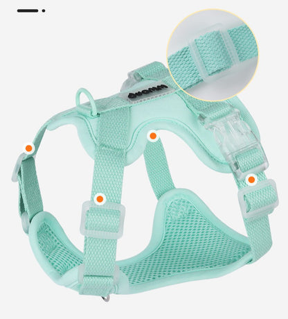 Breathable Mesh Harness & Leash Set
