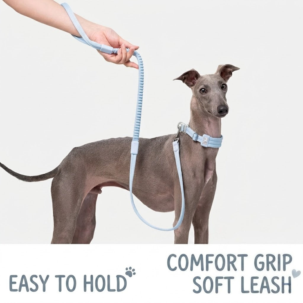 Elastic Shock-Absorbing Dog Leash