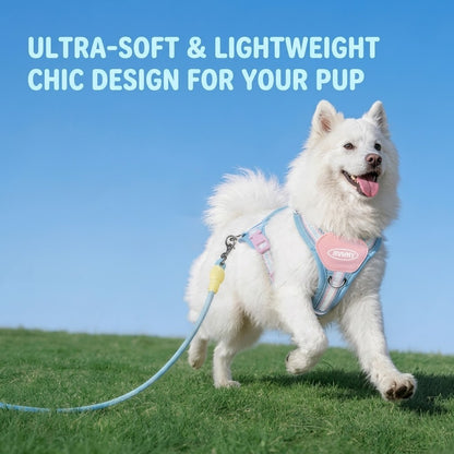 Lightweight No-Pull Harness & Leash Set