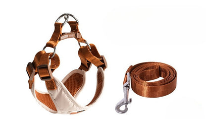 Breathable Mesh Harness & Leash Set