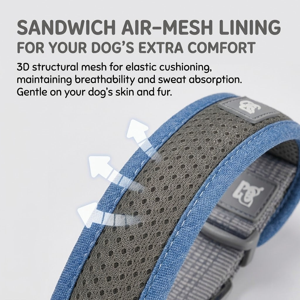 Reflective Padded Collar & Leash Set