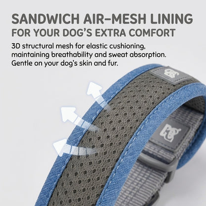 Reflective Padded Collar & Leash Set