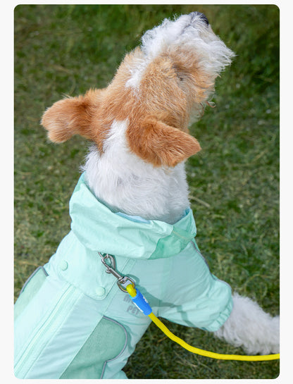 Geometric Color-Block Dog Leash