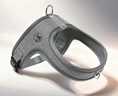 Reflective Saddle Harness & Leash Set