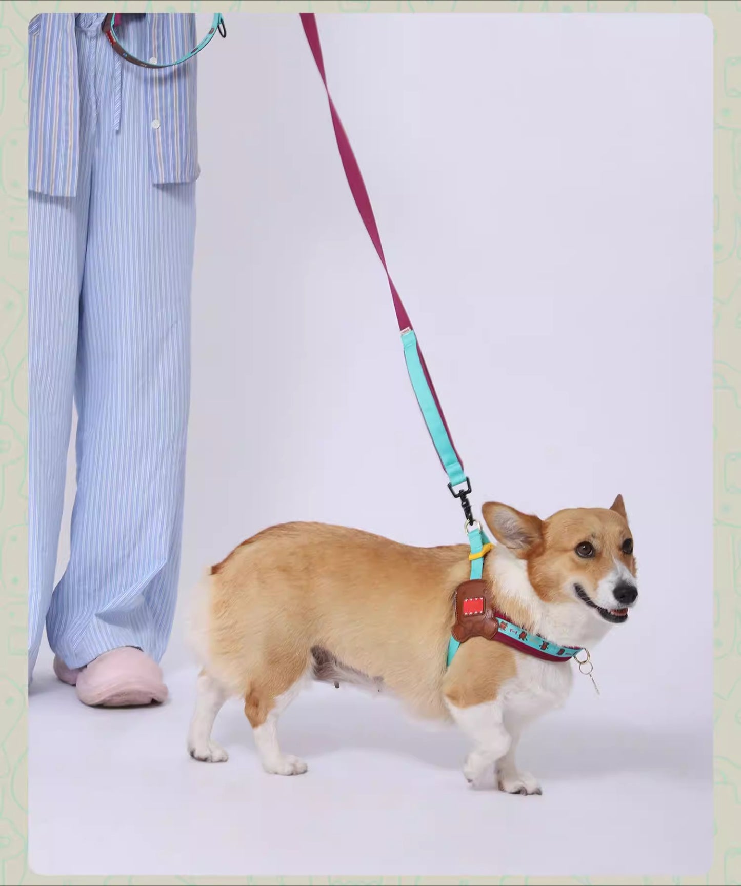 Multi-functional  Dog Leash