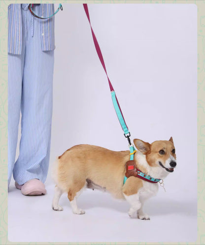 Multi-functional  Dog Leash