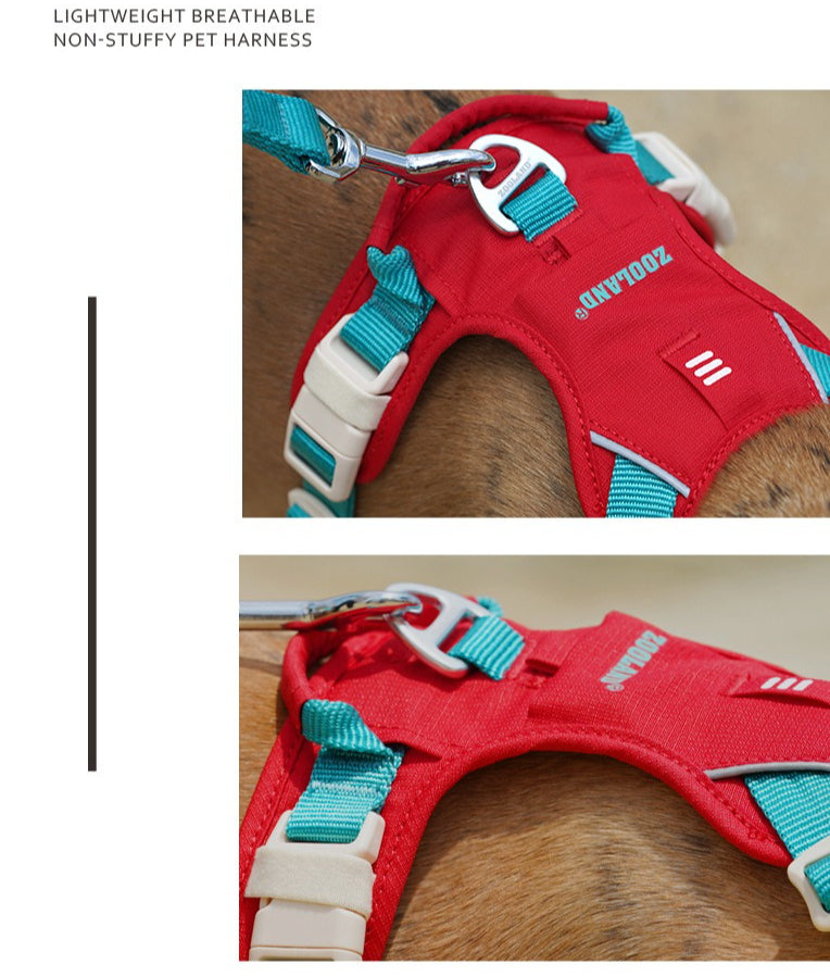 Pop Art Harness & Leash Set