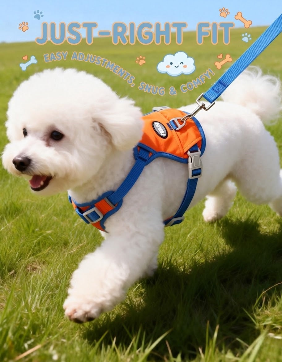 Lightweight Mesh Harness & Leash Set