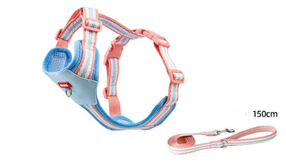Breathable Mesh Harness & Leash Set